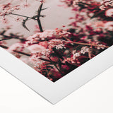 Farmhouse Wall Art: Rustic Floral Blossoms for Country Style Home Decor