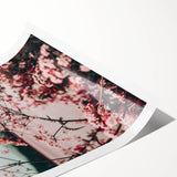 Farmhouse Wall Art: Rustic Floral Blossoms for Country Style Home Decor