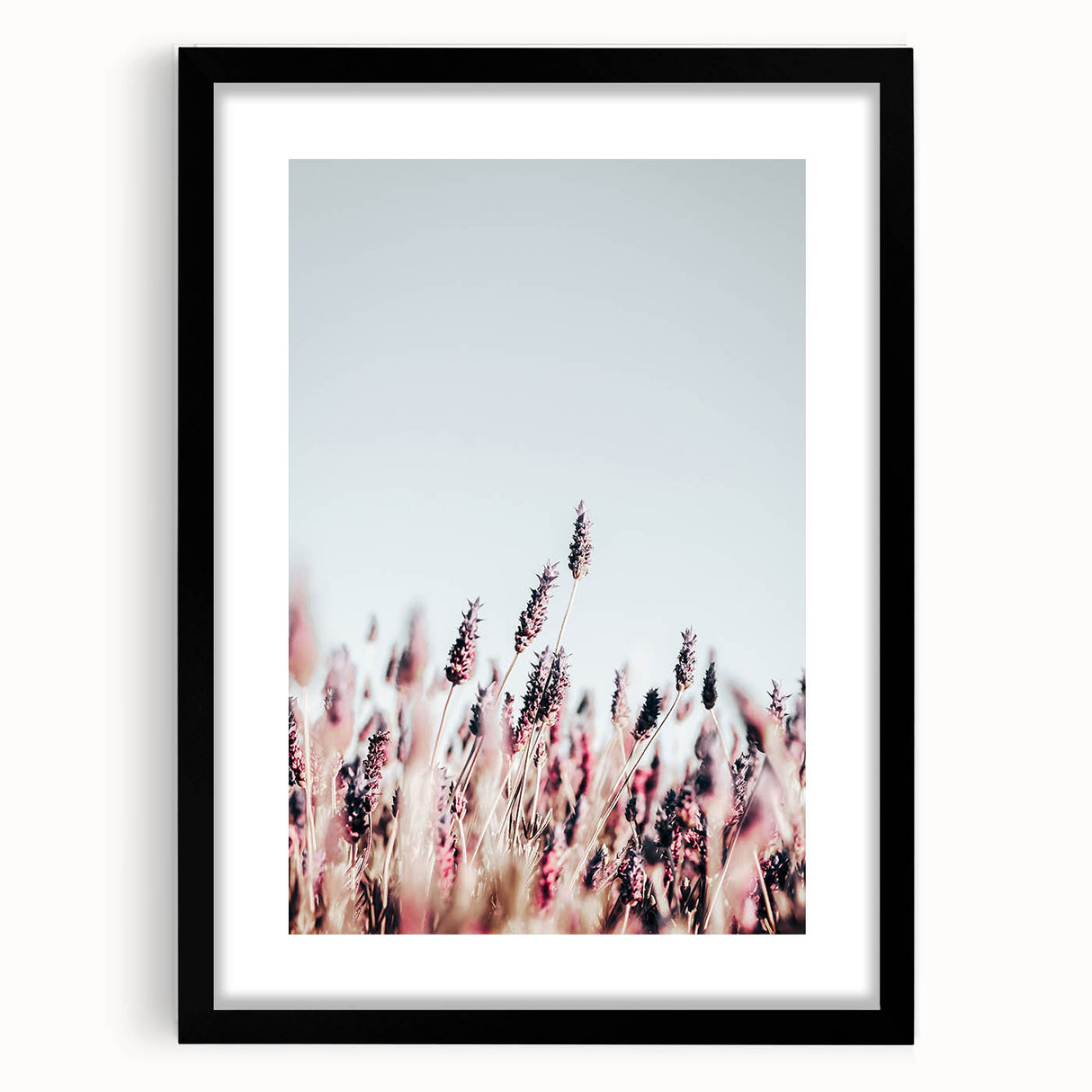 Farmhouse Wall Art: Rustic Lavender Field for Country Style Home Decor