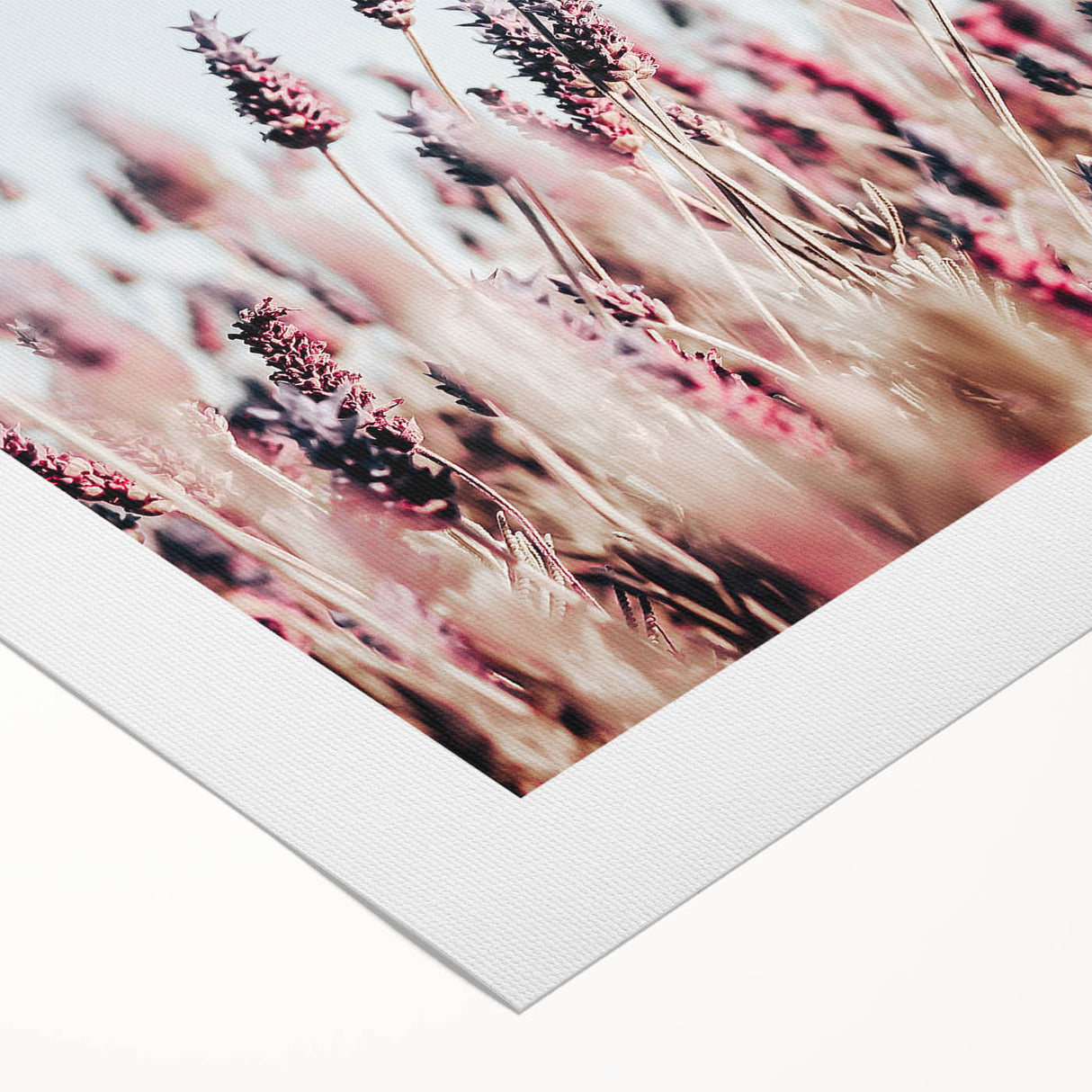 Farmhouse Wall Art: Rustic Lavender Field for Country Style Home Decor