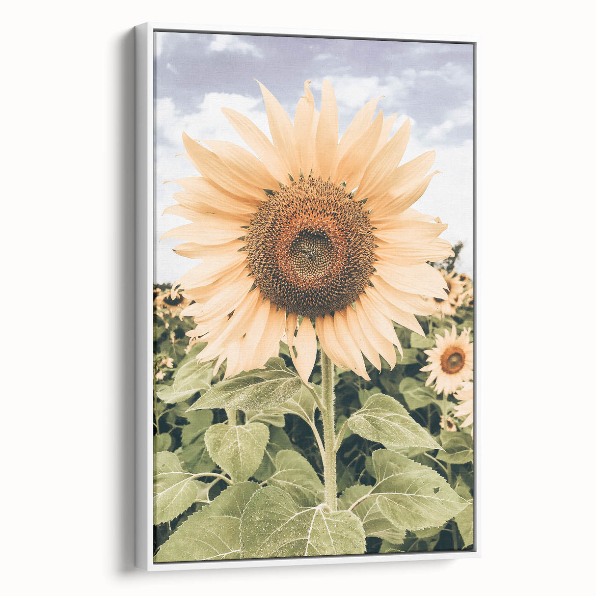 Rustic Farmhouse Decor - Sunflower Wall Art for Country Style Homes