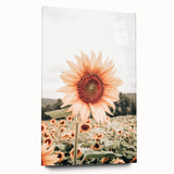 Farmhouse Wall Art Sunflower Print | Rustic Farmhouse Decor for Country Living