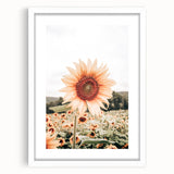 Farmhouse Wall Art Sunflower Print | Rustic Farmhouse Decor for Country Living