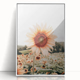 Farmhouse Wall Art Sunflower Print | Rustic Farmhouse Decor for Country Living