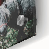 Rustic Horses Farmhouse Wall Art – Country Style Animal Decor