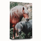 Rustic Horses Farmhouse Wall Art – Country Style Animal Decor