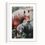 Rustic Horses Farmhouse Wall Art – Country Style Animal Decor