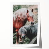 Rustic Horses Farmhouse Wall Art – Country Style Animal Decor