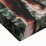 Rustic Horses Farmhouse Wall Art – Country Style Animal Decor