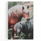 Rustic Horses Farmhouse Wall Art – Country Style Animal Decor