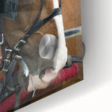 Rustic Horse and Harness Farmhouse Wall Art – Country Style Decor