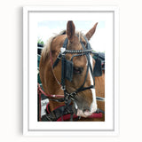 Rustic Horse and Harness Farmhouse Wall Art – Country Style Decor