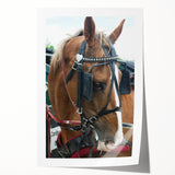 Rustic Horse and Harness Farmhouse Wall Art – Country Style Decor