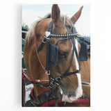 Rustic Horse and Harness Farmhouse Wall Art – Country Style Decor