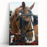 Rustic Horse and Harness Farmhouse Wall Art – Country Style Decor