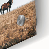 Rustic Horse in Meadow Farmhouse Wall Art – Country Style Decor