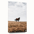 Rustic Horse in Meadow Farmhouse Wall Art – Country Style Decor
