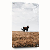 Rustic Horse in Meadow Farmhouse Wall Art – Country Style Decor