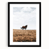 Rustic Horse in Meadow Farmhouse Wall Art – Country Style Decor