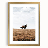 Rustic Horse in Meadow Farmhouse Wall Art – Country Style Decor