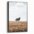 Rustic Horse in Meadow Farmhouse Wall Art – Country Style Decor