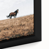 Rustic Horse in Meadow Farmhouse Wall Art – Country Style Decor