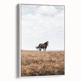 Rustic Horse in Meadow Farmhouse Wall Art – Country Style Decor