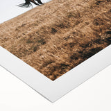 Rustic Horse in Meadow Farmhouse Wall Art – Country Style Decor