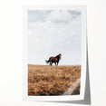 Rustic Horse in Meadow Farmhouse Wall Art – Country Style Decor