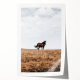 Rustic Horse in Meadow Farmhouse Wall Art – Country Style Decor