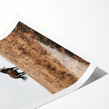 Rustic Horse in Meadow Farmhouse Wall Art – Country Style Decor