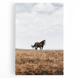 Rustic Horse in Meadow Farmhouse Wall Art – Country Style Decor