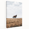 Rustic Horse in Meadow Farmhouse Wall Art – Country Style Decor