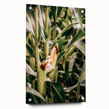 Farmhouse Wall Art Corn Stalk Print | Rustic Farmhouse Country Decor