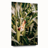 Farmhouse Wall Art Corn Stalk Print | Rustic Farmhouse Country Decor