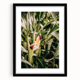 Farmhouse Wall Art Corn Stalk Print | Rustic Farmhouse Country Decor