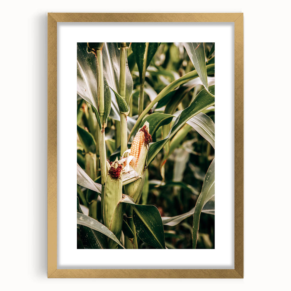 Farmhouse Wall Art Corn Stalk Print | Rustic Farmhouse Country Decor