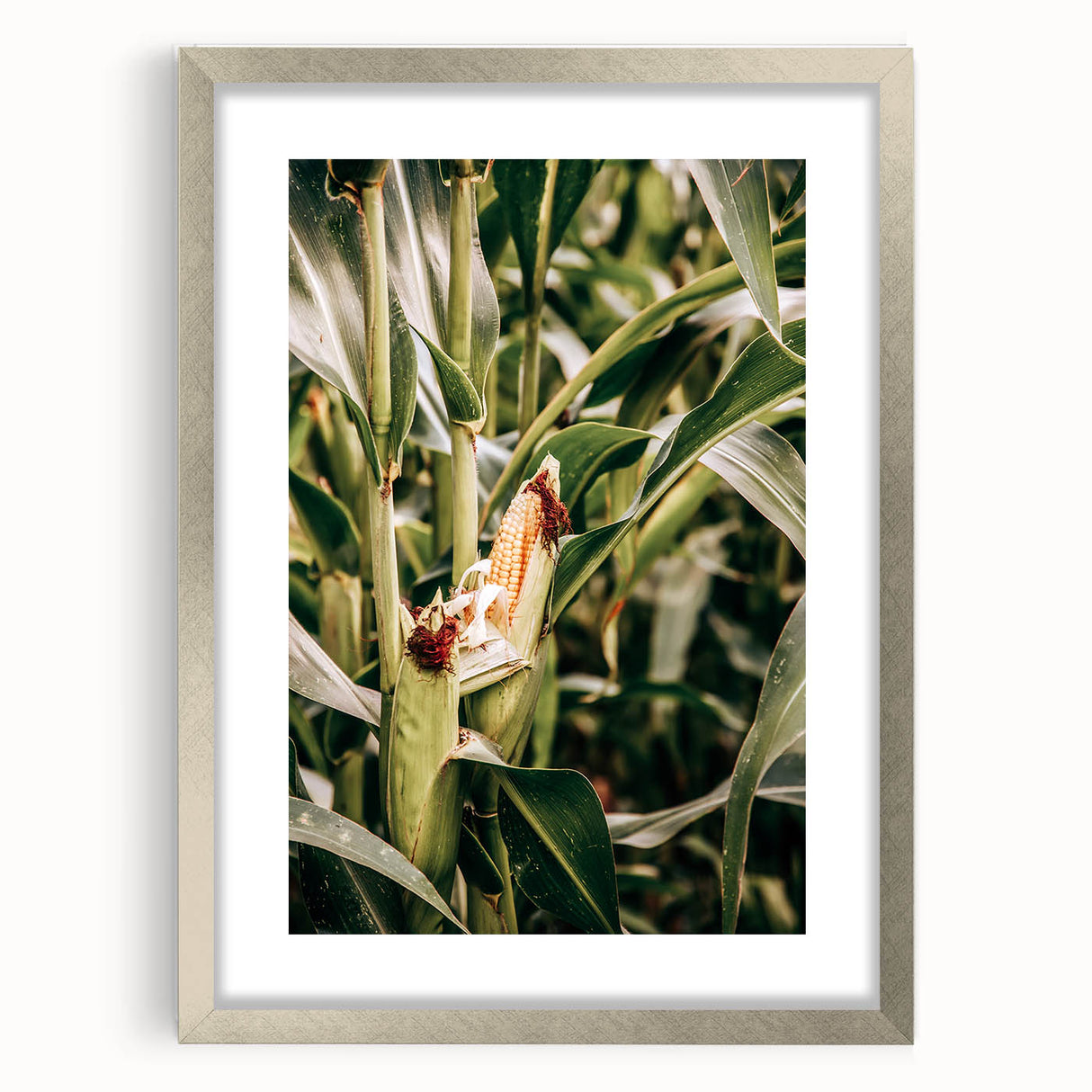 Farmhouse Wall Art Corn Stalk Print | Rustic Farmhouse Country Decor
