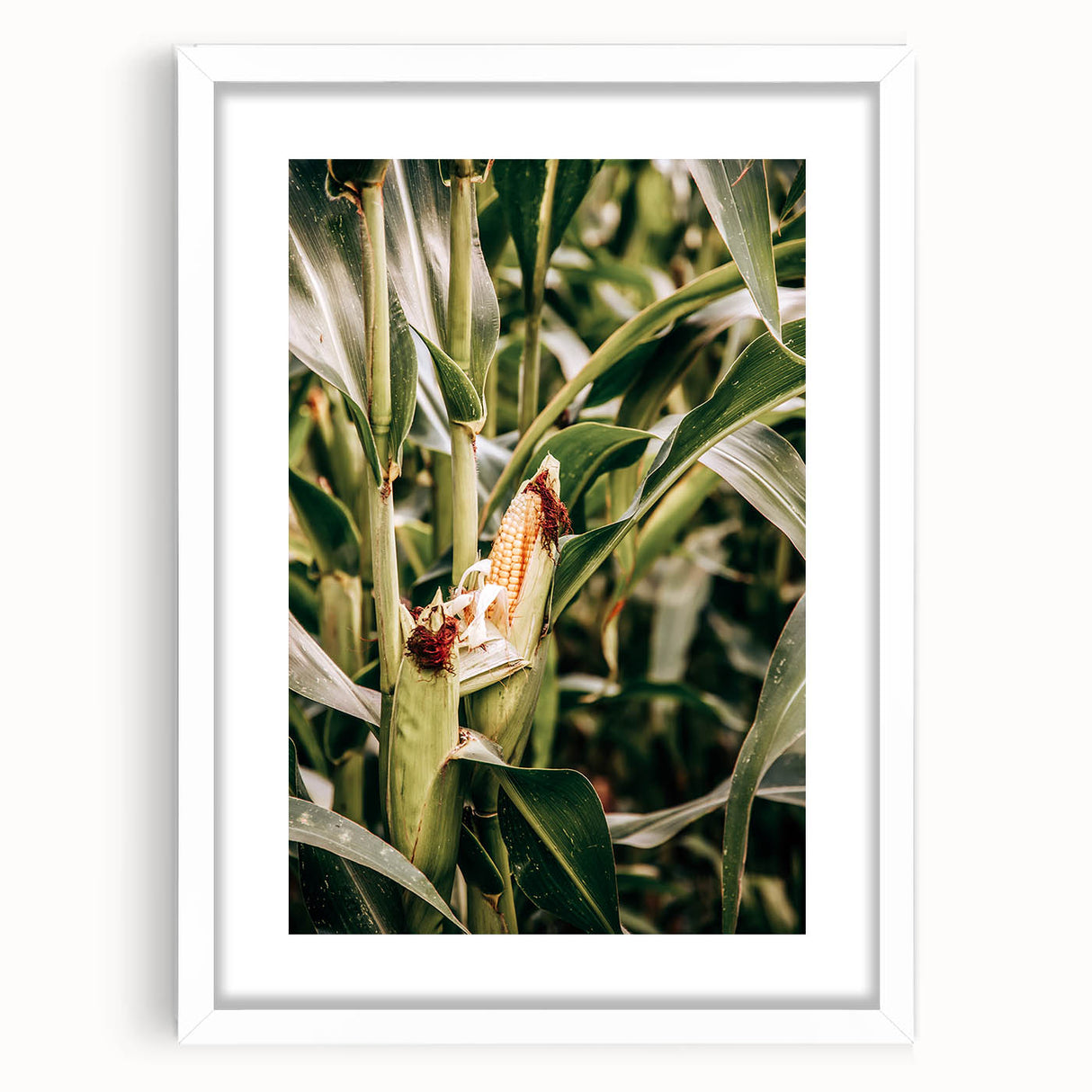 Farmhouse Wall Art Corn Stalk Print | Rustic Farmhouse Country Decor