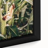 Farmhouse Wall Art Corn Stalk Print | Rustic Farmhouse Country Decor