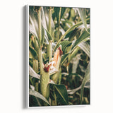 Farmhouse Wall Art Corn Stalk Print | Rustic Farmhouse Country Decor
