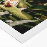 Farmhouse Wall Art Corn Stalk Print | Rustic Farmhouse Country Decor