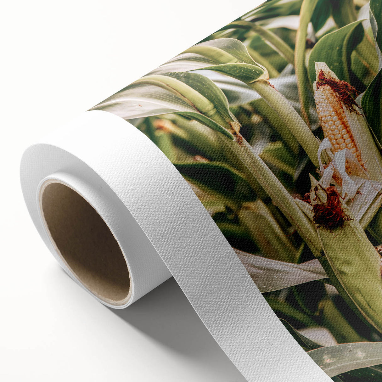 Farmhouse Wall Art Corn Stalk Print | Rustic Farmhouse Country Decor