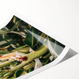 Farmhouse Wall Art Corn Stalk Print | Rustic Farmhouse Country Decor