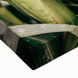 Farmhouse Wall Art Corn Stalk Print | Rustic Farmhouse Country Decor