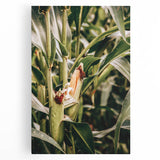 Farmhouse Wall Art Corn Stalk Print | Rustic Farmhouse Country Decor