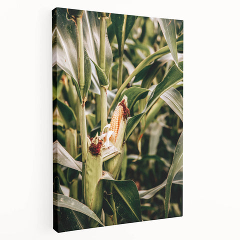 Farmhouse Wall Art Corn Stalk Print | Rustic Farmhouse Country Decor