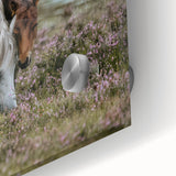 Rustic Horses Grazing Farmhouse Wall Art – Country Style Animal Decor