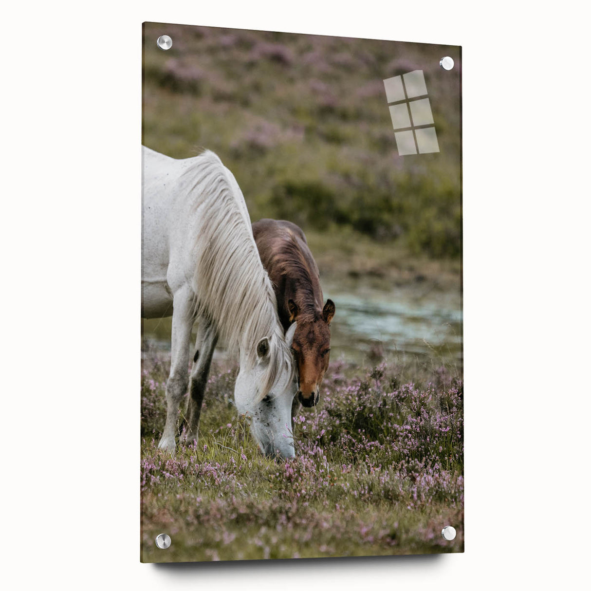 Rustic Horses Grazing Farmhouse Wall Art – Country Style Animal Decor