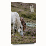 Rustic Horses Grazing Farmhouse Wall Art – Country Style Animal Decor